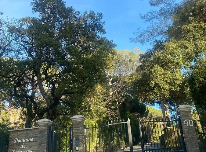 Equipe * Saint-Raphaël